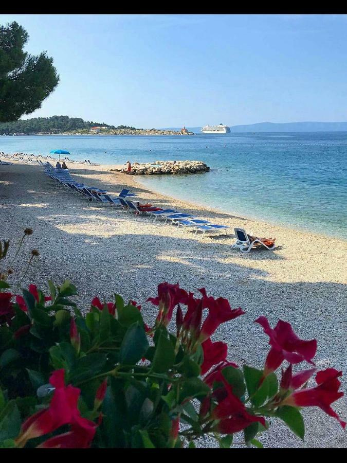 Apartment Davorka Makarska Exteriör bild